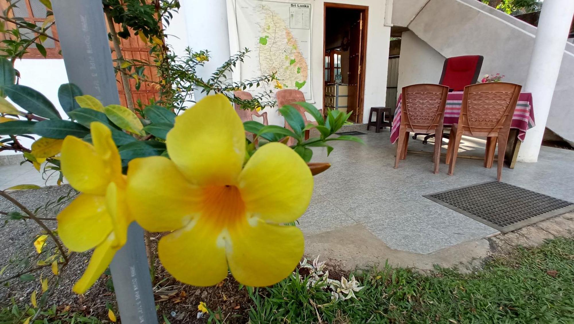 Safari Horizon Udawalawe Bed & Breakfast Exterior photo